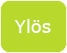 Ylös